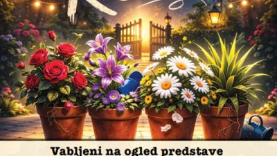 Gledališka skupina Ščuka: Polovične resnice
