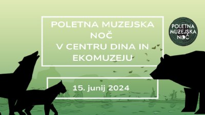 Poletna muzejska noč v Centru DINA