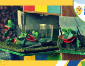 Otroška predstava Mehurčki + ustvarjalna delavnica Čudežni svet žuželk