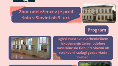 Slavinsko gradišče Slavinsko gradišče