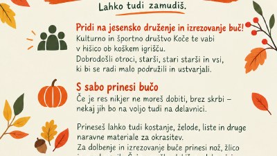 Bučarjada