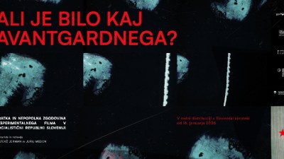 Ali je bilo kaj avantgardnega?