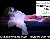 Princesa na zrnu graha