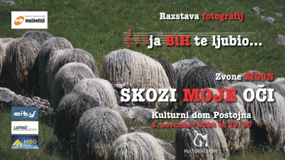 Ja BIH te ljubio