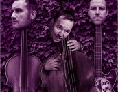 Ulica aktivistov 3 + session DAVORINGS / Ko simfoniki slečejo frake in kjer se srečata vrhunska klasika, neukročen rock in subtilni jazz.