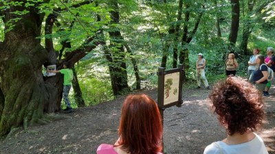 Odkrivajmo: Naravovedstvo v Rakovem Škocjanu Odkrivajmo: Naravovedstvo v Rakovem Škocjanu