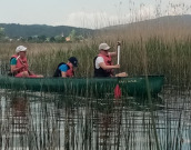Čolnarimo: Kanu safari z ornitologom Čolnarimo: Kanu safari z ornitologom