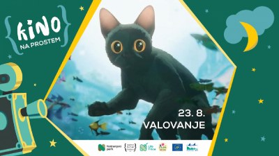 Kino na prostem: Valovanje