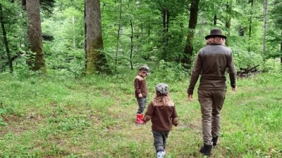 Raziskujmo: Kraljestvo velikih zveri