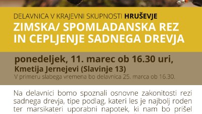Delavnica v KS Hruševje: Spomladanska rez in cepljenje sadnega drevja