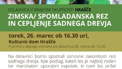 Delavnica v KS Hrašče: Spomladanska rez in cepljenje sadnega drevja