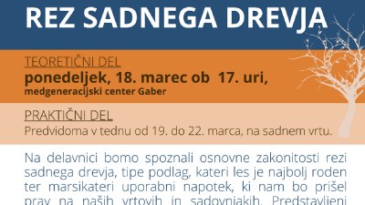 Delavnica v Loški dolini: Rez sadnega drevja