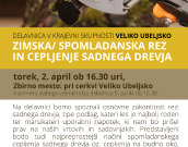 Delavnica v KS Veliko Ubeljsko: Zimska/ spomladanska rez in cepljenje sadnega drevja