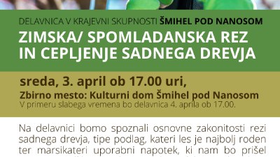 Delavnica v KS Šmihel pod Nanosom: Zimska/spomladanska rez in cepljenje sadnega drevja