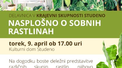 Delavnica v KS Studeno: Nasplošno o sobnih rastlinah