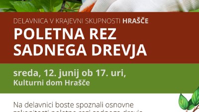 Delavnica v KS Hrašče: Poletna rez sadnega drevja