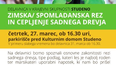 Delavnica v KS Studeno: Zimska oz. spomladanska rez in spomladansko cepljenje sadnega drevja