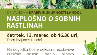 Delavnica v KS Landol: Nasplošno o sobnih rastlinah