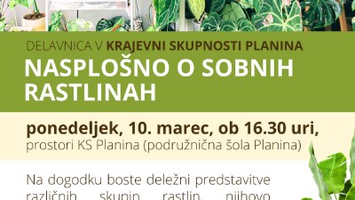 Delavnica v KS Planina: Nasplošno o sobnih rastlinah