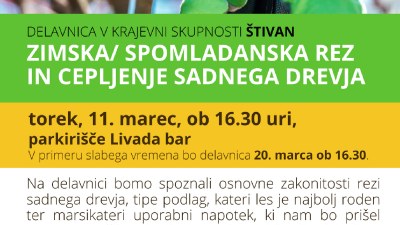Delavnica v KS Štivan: Zimska oz. spomladanska rez in spomladansko cepljenje sadnega drevja
