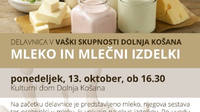Delavnica v VS Dolnja Košana: Mleko in mlečni izdelki