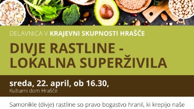 Delavnica v KS Hrašče: Divje rastline- lokalna superživila