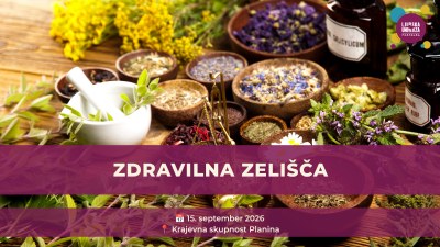 Zdravilna zelišča Zdravilna zelišča