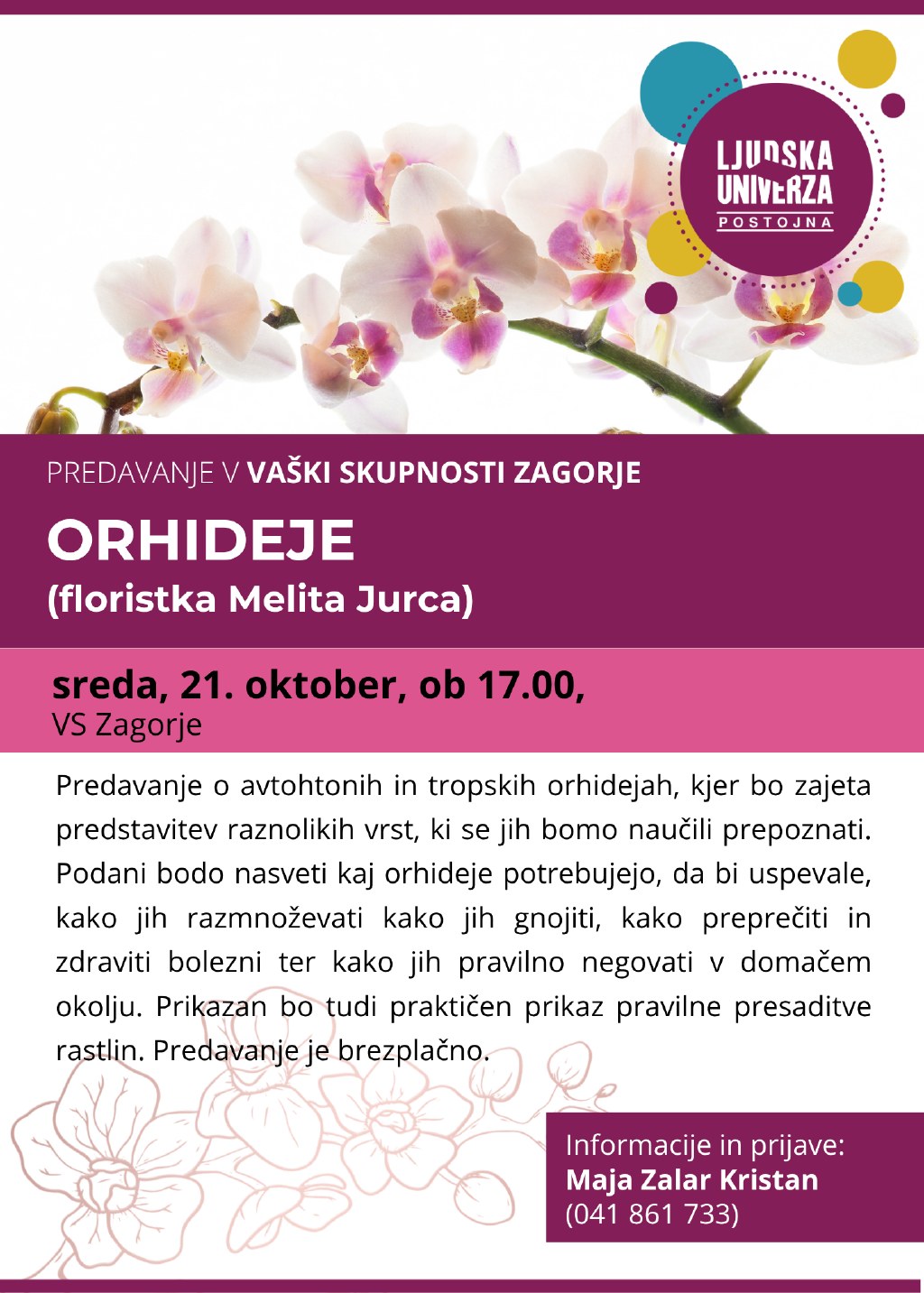 Orchideeën