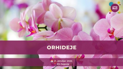 Predavanje: Orhideje Predavanje: Orhideje