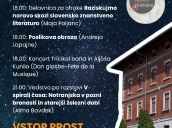 Program Poletne muzejske noči