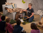 Delavnica o velikih zvereh (abonma Za mulce, froce in drobižke)