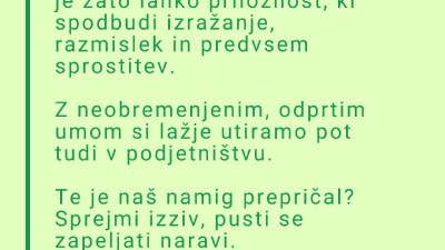 Ženske z vizijo 4.0 (mreženjski dogodek)