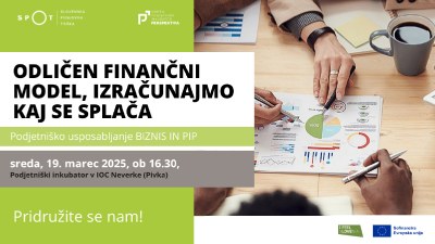 Odličen finančni model - izračunajmo, kaj se splača (program Biznis in PIP)