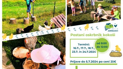 Oskrbnik kokoši za en dan