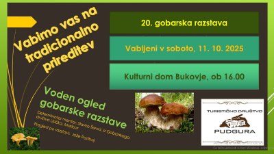 Gobarska razstava Gobarska razstava