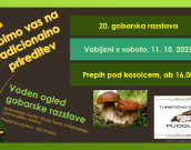 Gobarska razstava