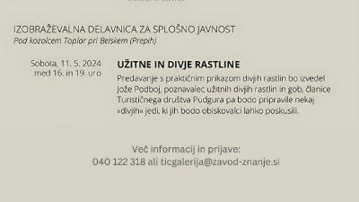 Festival divje hrane - Užitne rastline in divja hrana