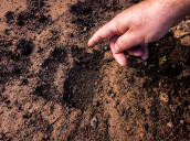 Družinske nedelje na Koči Mladiki